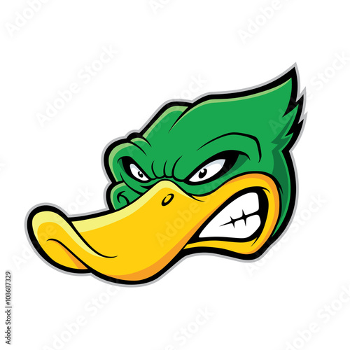 Duck head mascot