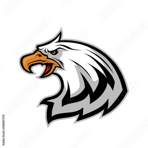 Eagle head mascot