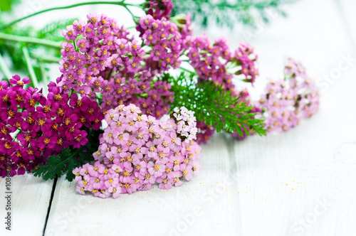 Obraz na płótnie flower w salonie
