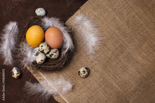 Easter eggs in a nest photo