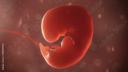 Quadro em tela embryo life realistic visualisation