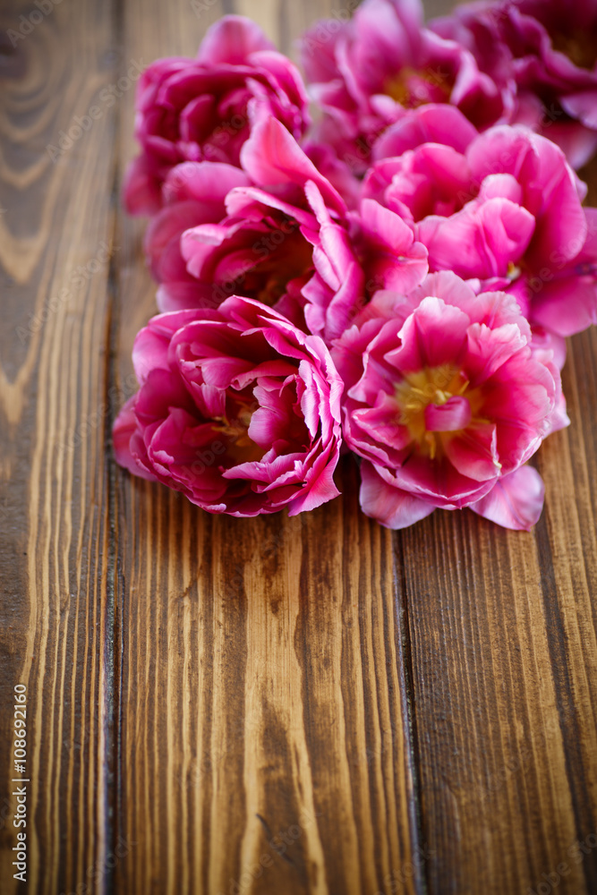 Bunch of beautiful tulips Bunch of beautiful tulips