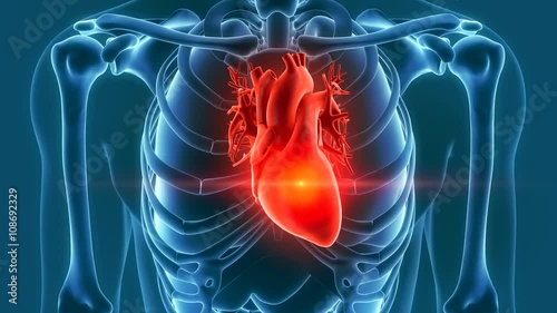 human heart pain