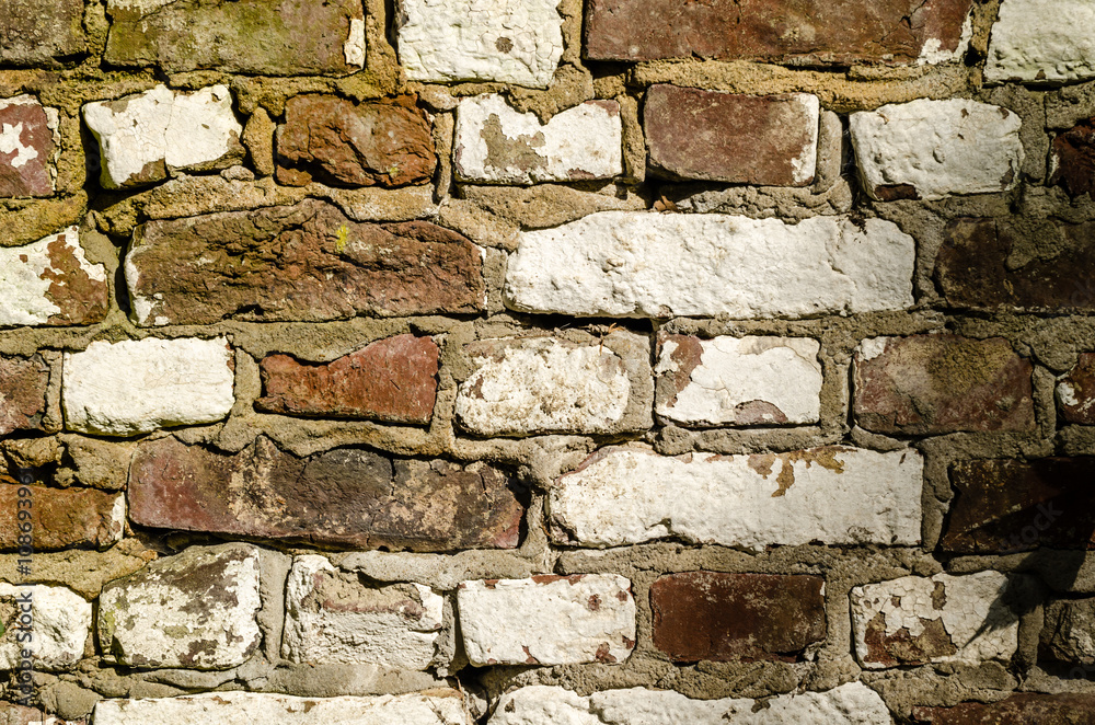 Fototapeta premium Mauer im Sonnenlicht