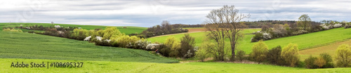 Panoramic shot of spring landscape with green fields