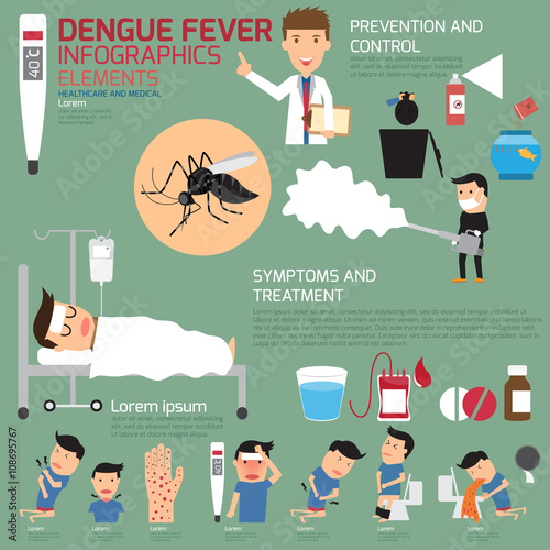 Dengue fever infographics. vector illustration.