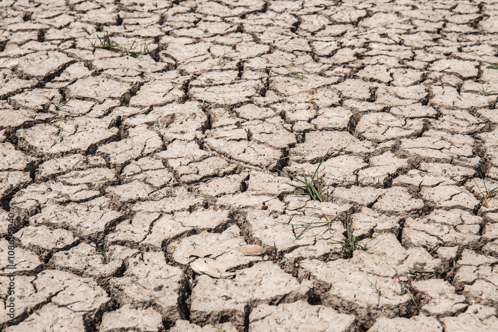 dry soil arid. drought land textured backgrounds dry soil arid. drought land textured backgrounds