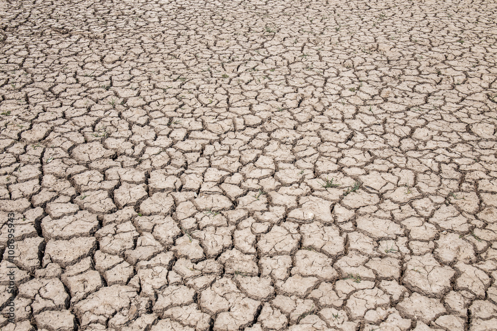 dry soil arid. drought land textured backgrounds dry soil arid. drought land textured backgrounds