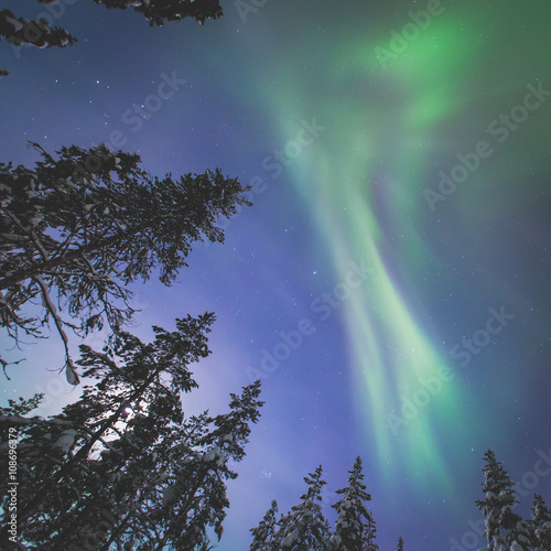 Beautiful picture of massive multicoloured green vibrant Aurora Borealis  Aurora Polaris  also know as Northern Lights in the night sky over winter Lapland landscape  Norway  Scandinavia