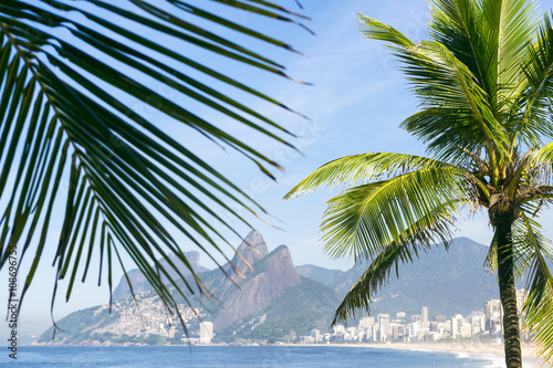 Palm fronds frame a scenic view of Ipanema Beach Rio de Janeiro Brazil from Arpoador 
