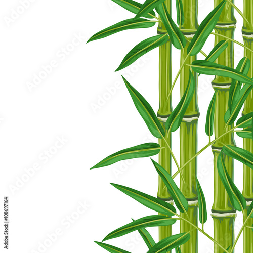 Fototapeta Naklejka Na Ścianę i Meble -  Seamless border with bamboo plants and leaves. Background made without clipping mask. Easy to use for backdrop, textile, wrapping paper