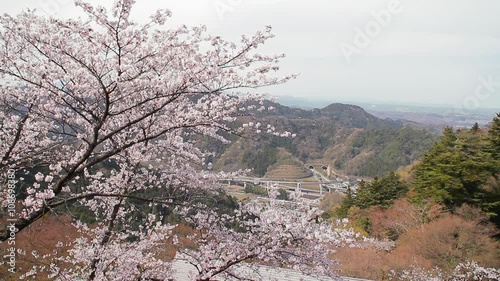 高尾山　山頂から桜　山々　高速道路