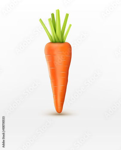 vector carrot isolated on a white background