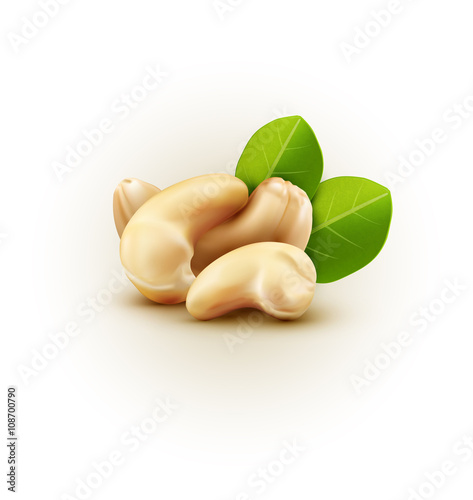 Vector group of cashew nuts isolated on white background