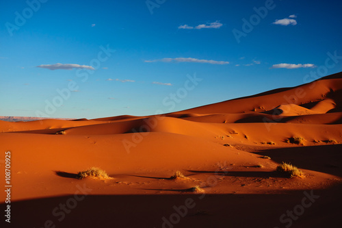 Fototapeta Naklejka Na Ścianę i Meble -  Sand dunes in the Sahara Desert, Merzouga, Morocco