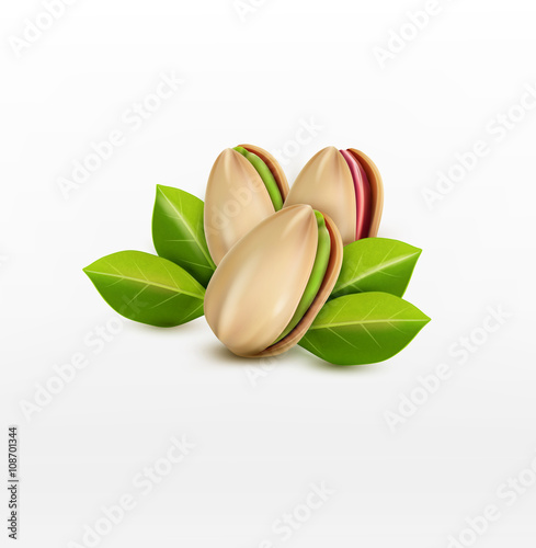 vector group of pistachio nuts, isolated on a white background photo