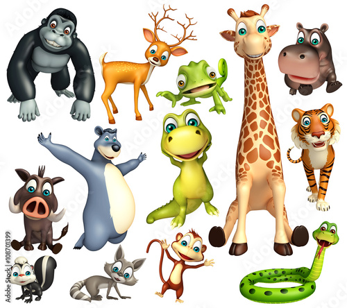 wild animal collection