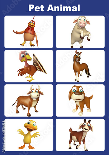 pet animal chart