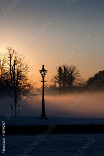 Canvas Print A lamp in the misty Phoenix park