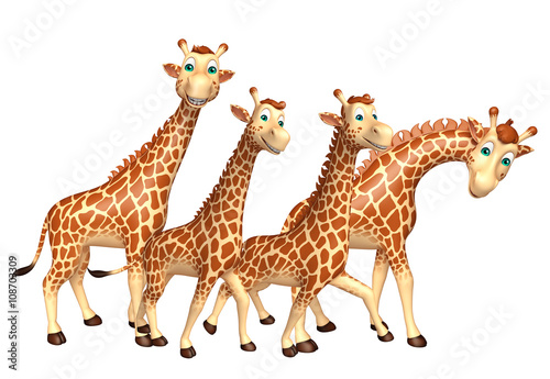 Giraffe collection