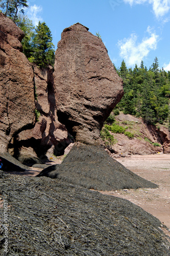 Hopewell Rocks in der Bay of Fundy, Kanada