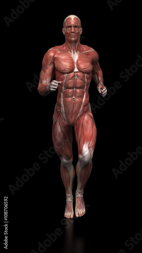 Running man - muscle anatomy