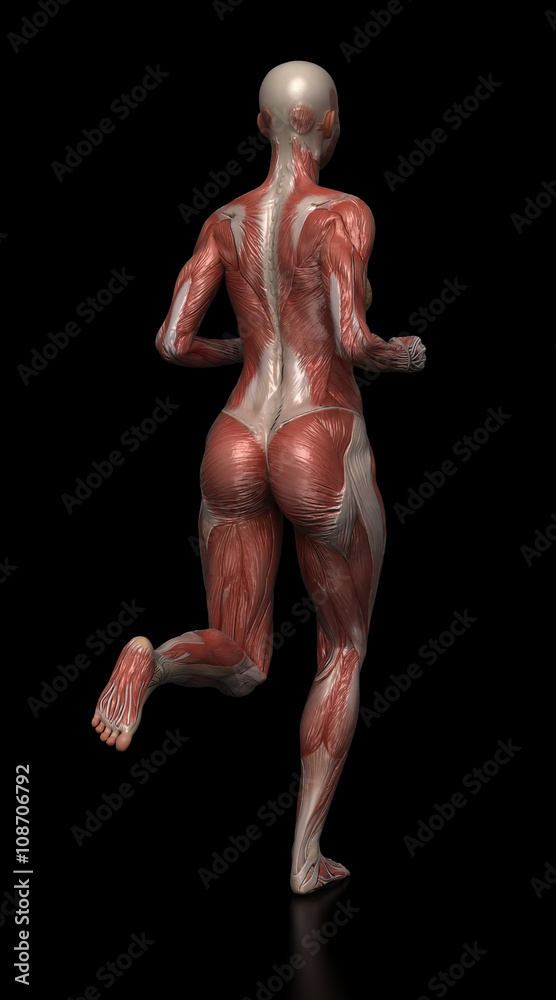 Running woman with visible muscles on black Running woman with visible muscles on black