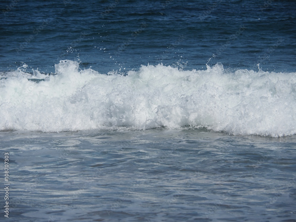 Wave Wave