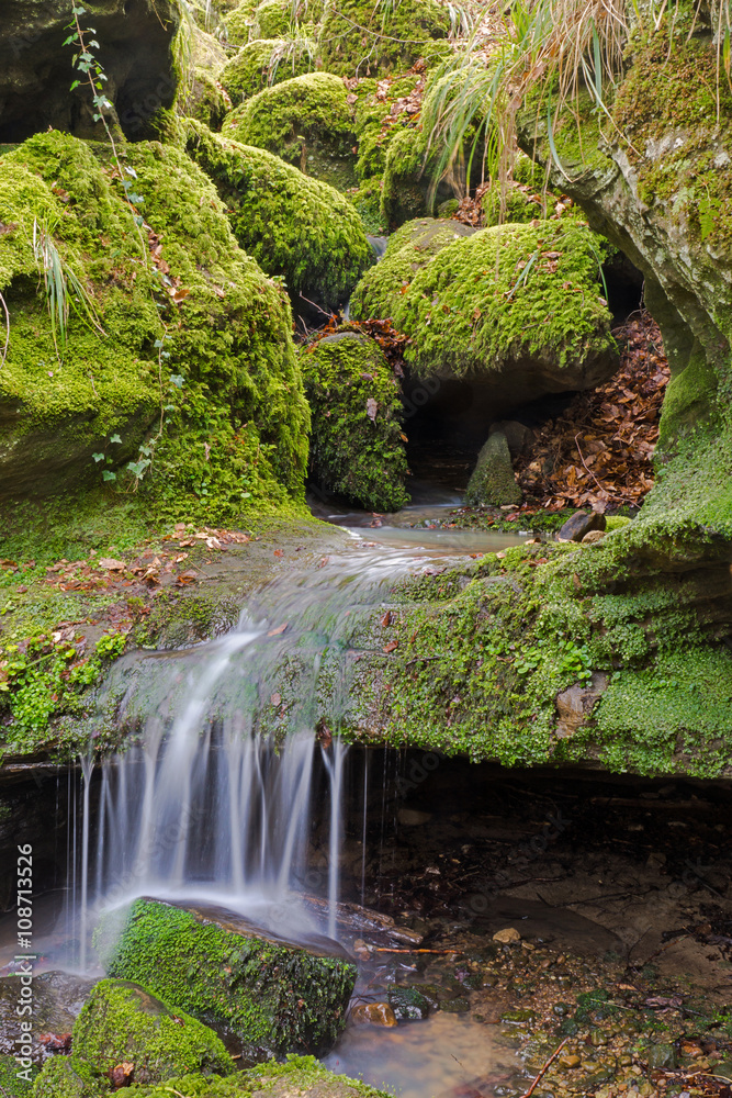 Fototapeta premium Wodospad kaskadowy w Luksemburgu - Mullerthal