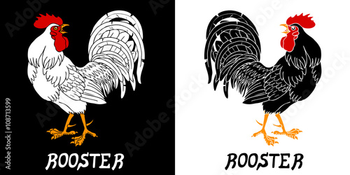 Fervent black and white roosters