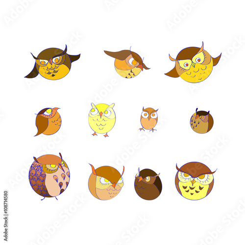 set of owls. 