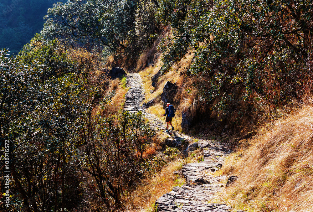 Hike in Nepal jungle