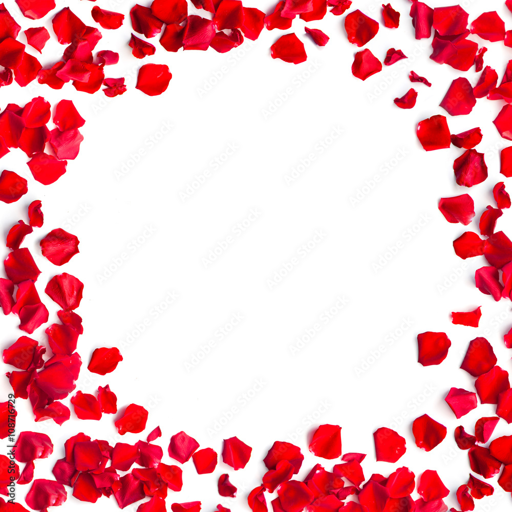 Romantic red rose petals frame on white background