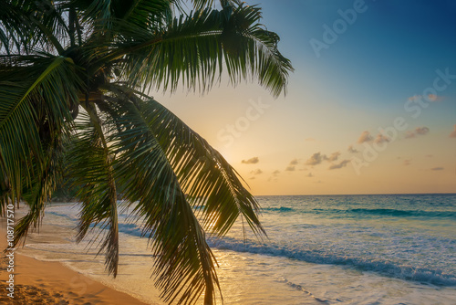 sunset on anse georgette in praslin island seychelles