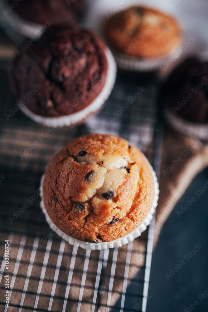 Homemade Chocolate Muffins Homemade Chocolate Muffins
