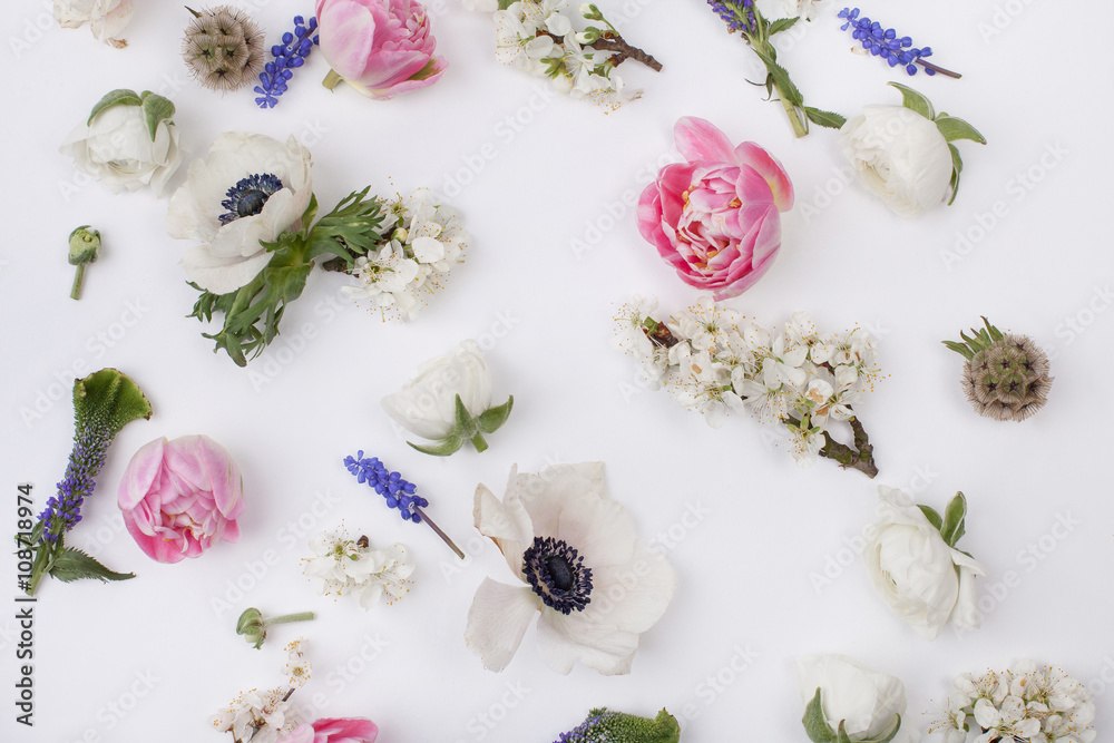 Heads of spring flowers Heads of spring flowers