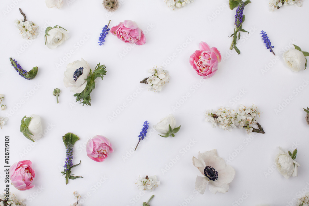 custom made wallpaper toronto digitalHeads of pastel, spring flowers