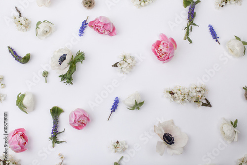 Wallpaper Mural Heads of pastel, spring flowers Torontodigital.ca