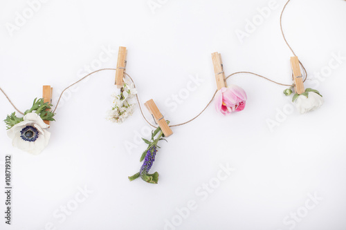 Spring flowers on the clips for visit card