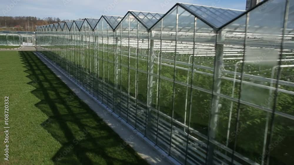 The cultivation of plants in greenhouses The cultivation of plants in greenhouses