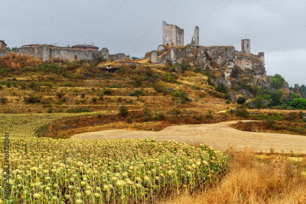 Field of sunflowers with the walls and castle Calatanazor backgr
