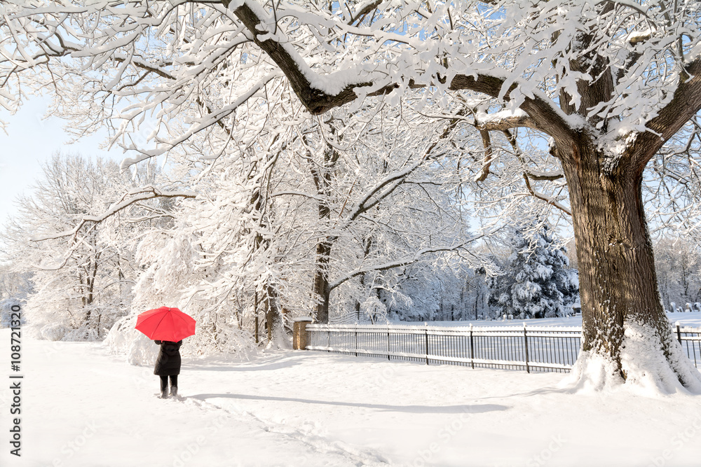Fototapeta premium Red Umbrella Winter Walk