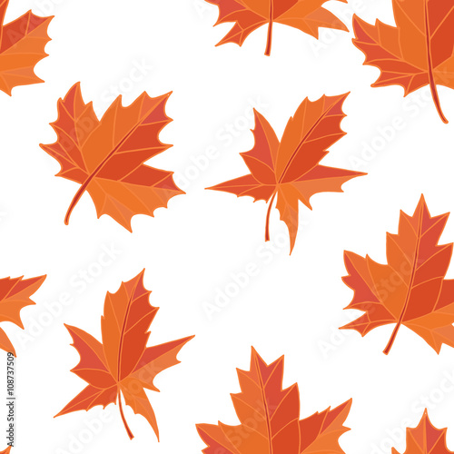 Orange yellow fallen autumn leaves isolated on white background