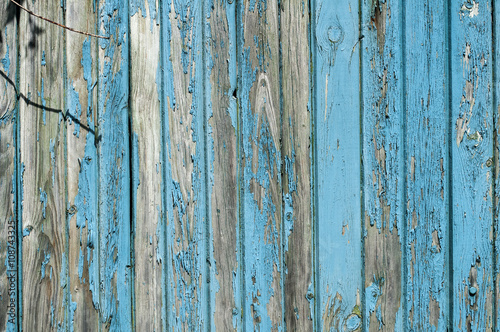 Wall of weathered wooden boards with old faded blue paint as background © varbenov