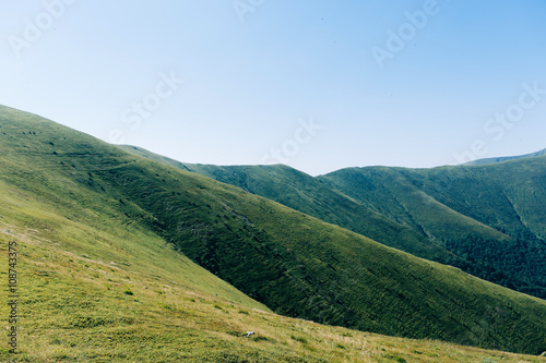 Green mountains  hills  travel  landscape