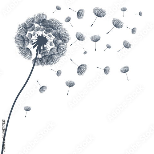 Fototapeta Naklejka Na Ścianę i Meble -  Abstract fluffy dandelion flower. Vector illustration
