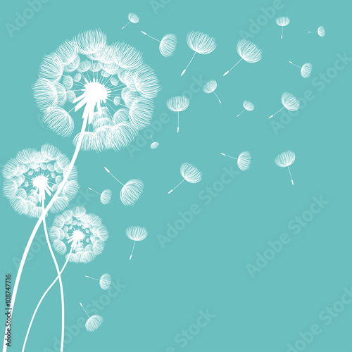 Abstract fluffy dandelion flower. Vector illustration