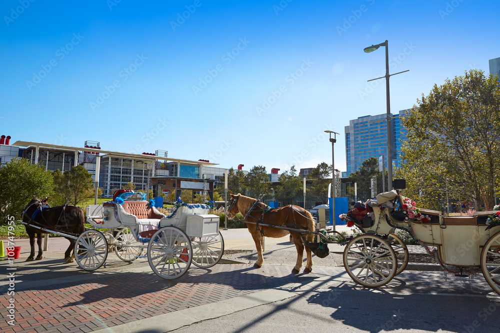 Houston Discovery green park horse carriages