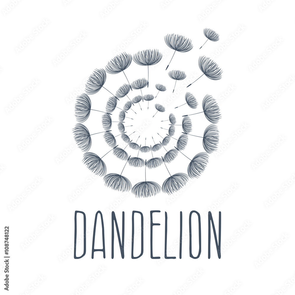 Obraz premium Abstract fluffy dandelion flower logo. Vector illustration