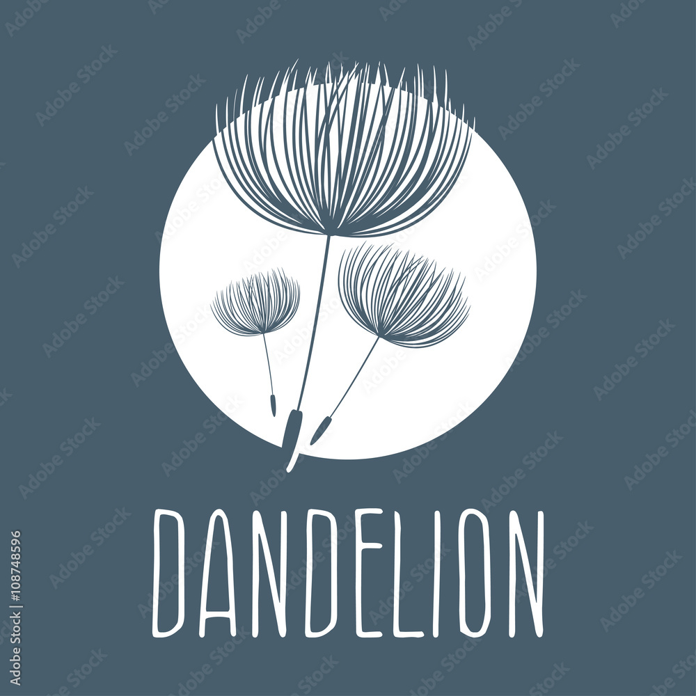 Obraz premium Abstract fluffy dandelion flower logo. Vector illustration